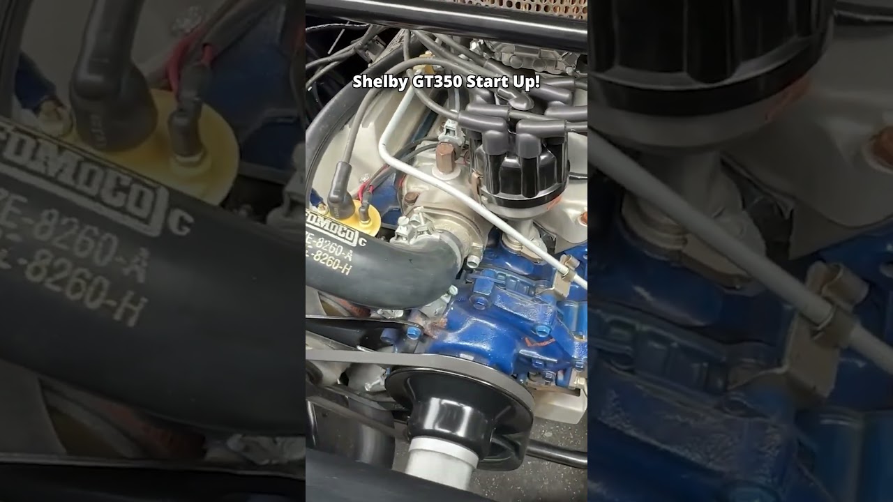 Satisfy your GT350 cravings here!