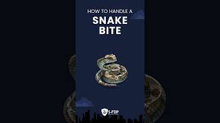 Bitten by a Snake? Do THIS Immediately!