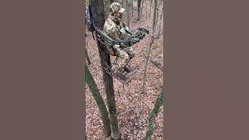 Big Buck Hunt! #nature #hunting #deerhunting #deer #archery #bowhunting #teamspypoint