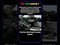 Did you know ? #historyfacts #Shorts #YouTubeShorts #History #UnknownFacts #QuickFacts