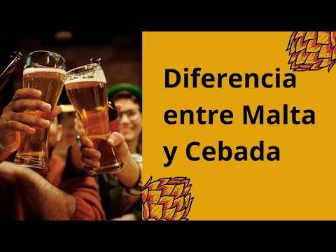 DIFERENCIA ENTRE CEBADA