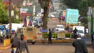 BU in Kenya: What the Tea Leaves Say