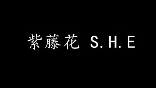 Video thumbnail of "紫藤花 S.H.E (歌词版)"