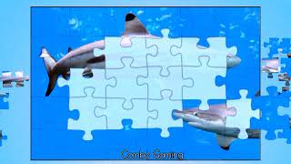 puzzle #189 gameplay || Dolphins jigsaw puzzle games walkthrough || @combogaming335 screenshot 4