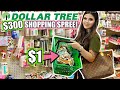 DOLLAR TREE GIRLY $300 SHOPPING SPREE! *I BOUGHT 300 THINGS*