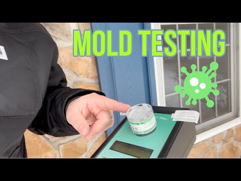 Mold Analysis Near Me Wilmington, CA