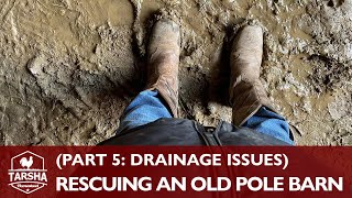 Rescuing An Old Pole Barn (Part 5: Drainage Issues) by Tarsha Homestead 182 views 1 year ago 12 minutes, 8 seconds