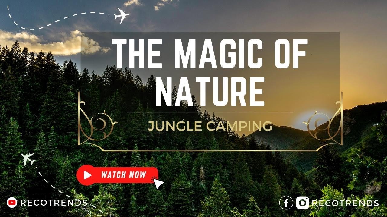 The Beautiful Magic Of Nature | A Natural Oasis