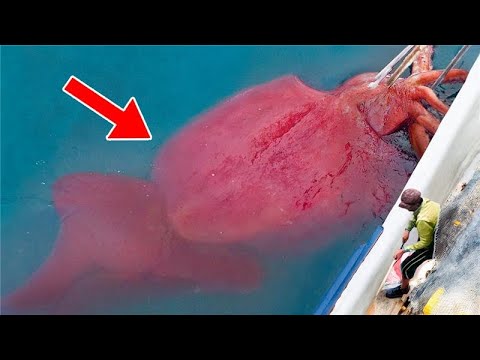 The Most Terrifying Creatures Ever Found