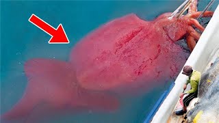 The Most Terrifying Creatures Ever Found