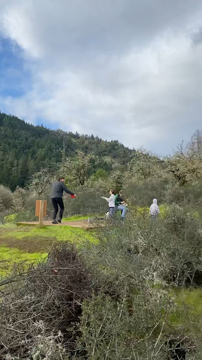 “Innova Star Wraith” Whistlers Bend, OR🌲 #disclife #nature #discgolfeveryday #innova #oregon