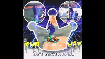 NBA2K20 - Two-Way 3pt Playmaker Op Build