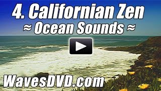 4   CALIFORNIA ZEN   WAVES DVD Virtual Vacations Nature Video relaxing ocean sounds relax best beach