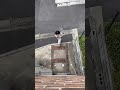 通りがかりの人に向かって「ヴァン！」