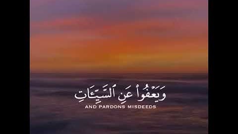 ﴿ وَهُوَ الَّذي يَقبَلُ التَّوبَةَ عَن عِبادِهِ وَيَعفو عَنِ السَّيِّئَاتِ ﴾- القارئ أسلام صبحي