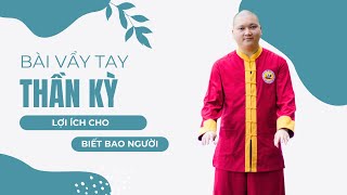 Bài Vẩy Tay Thần Kỳ: Lợi Ích Cho Biết Bao Người