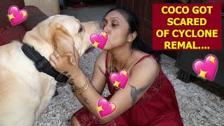 COCO'S  SCARED OF CYCLONE REMAL | BUT MUM IS AT MAIKA,  STORM COMES NEAR| WATCH, WHAT HAPPENS NEXT