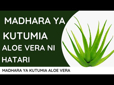 Aloe Vera Inaweza Kuwa Hatari Sana Kwa Ngozi Yako