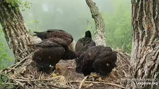 Decorah Eagles 5 24 20, 6 am Wing stretches, 2 fish, 2 steals, down the hatch