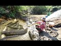Hunting wild fish | catch a lot of fish by using pumps, pumping water outside the natural lake