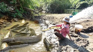 Hunting Wild Fish | Catch A Lot Of Fish By Using Pumps, Pumping Water Outside The Natural Lake