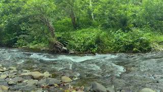 Calming Mountain Stream Sounds, Beautiful Bubbling Water Stream Sound, ASMR River Sounds
