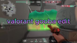 VALORANT MONTAGE TO CURE EPILEPSY ! valorant gooba edit