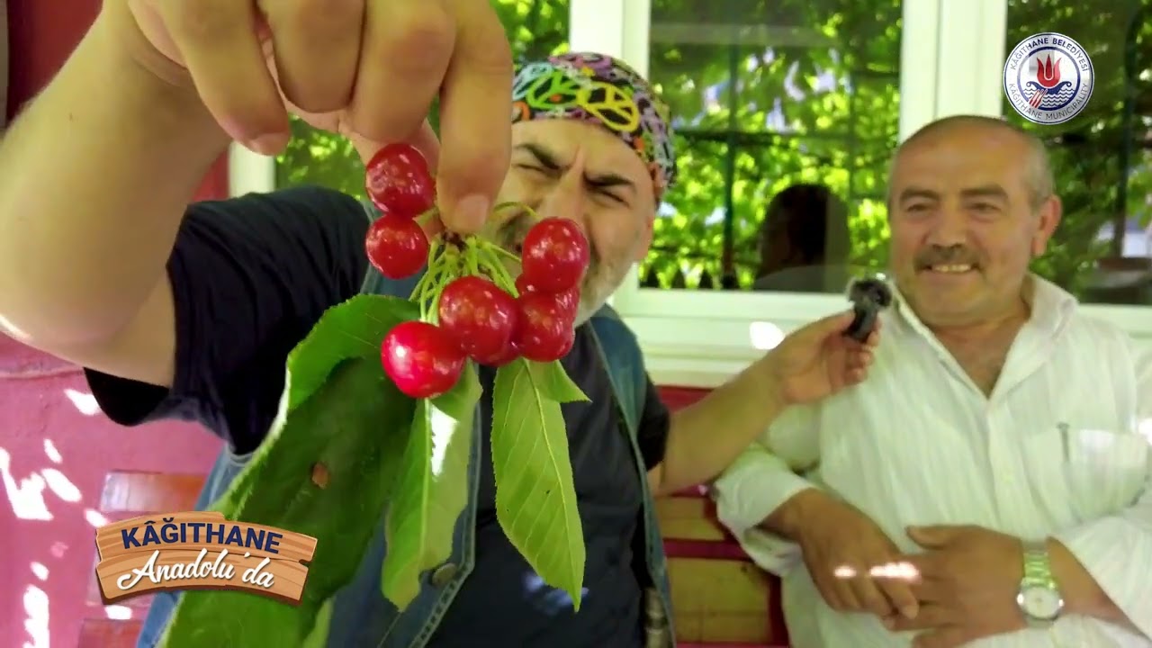 KASTAMONU BOZKURT Uluköy, Bozkurt