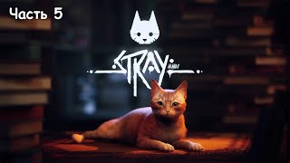 Stray. Приключение кота без сапог. Часть 5. Финал. Тюрьма и побег на свободу