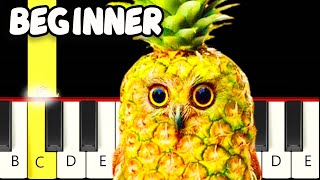 Pineapple Owl Song - Fast and Slow (Easy) Piano Tutorial - Beginner