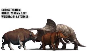 Triceratops vs Rhinos and Elephants Size Comparison