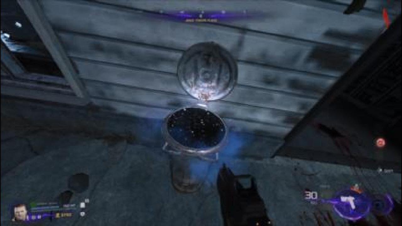 NEW Relic Samanthas Diary BO7 Zombies