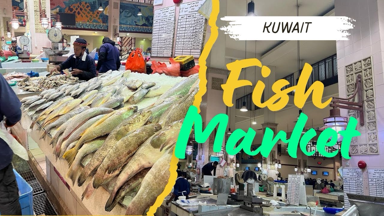 Kuwait sharq largest fish market | மிகப்பெரிய மீன் சந்தை | 