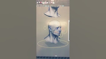 3D animation model , face movement and expression