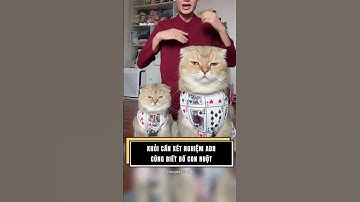 Khỏi cần xét nghiệm ADN cũng biết bố con ruột #shorts