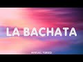 Manuel Turizo -  La Bachata (Lyrics, Letra) Music Letra