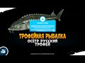 Русская Рыбалка 4 - Трофей. Осётр русский
