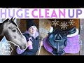 Ultimate Cleaning! - The WHOLE Stables! Winter 2021 AD | This Esme