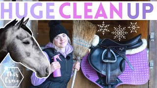 Ultimate Cleaning!  The WHOLE Stables! Winter 2021 AD | This Esme