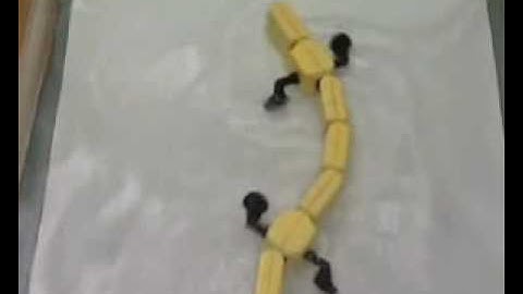 Robots inspired by animals