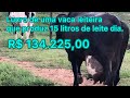 R$ 134.225,00 - Lucro de uma vaca leiteira que produz 15 litros de leite dia, com 14 anos de idade.