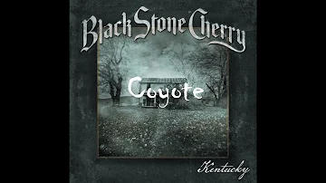 Black Stone Cherry - Coyote
