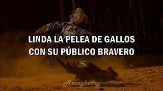 PELEA DE GALLOS- ANTONIO AGUILAR [LETRA]