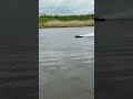 Pro boat sonicwake
