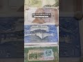 Is There Money From Your Country On This Wall of Notes?