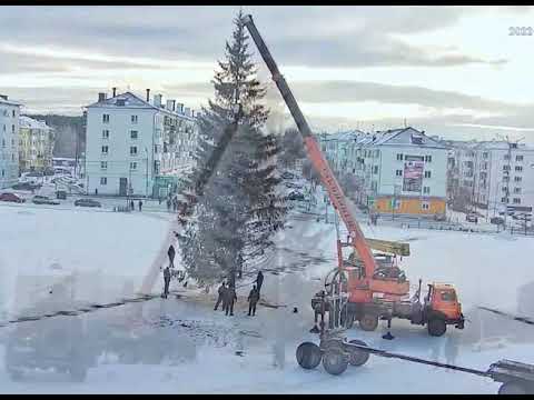 Установка ели на городской площади