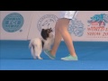 FCI Dog dance World Championship 2016 – Freestyle final  - Irina Efremova and Unkas (Russia)