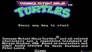 Teenage Mutant Ninja Turtles Gameplay Pc Game, 1989