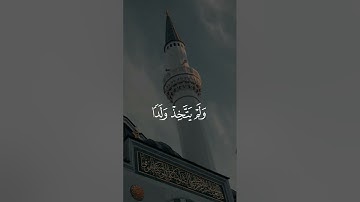 من أجمل تلاوات الشيخ محمد ايوب #quran