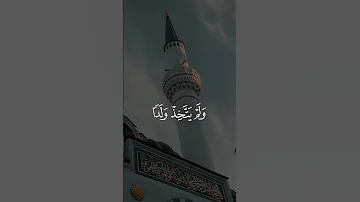من أجمل تلاوات الشيخ محمد ايوب Quran 